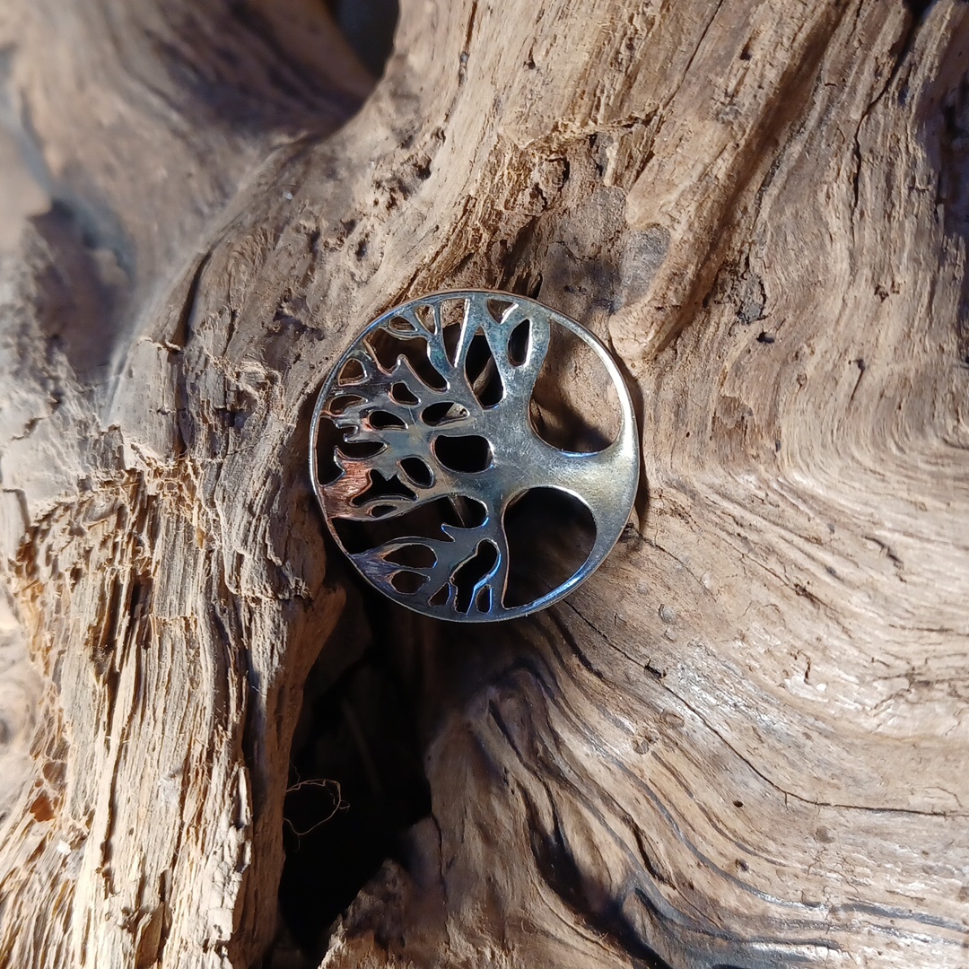 Tree Ring.